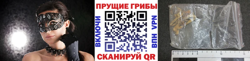 наркотики  Красный Кут  ссылка на мегу зеркало  Галлюциногенные грибы Psilocybine cubensis 